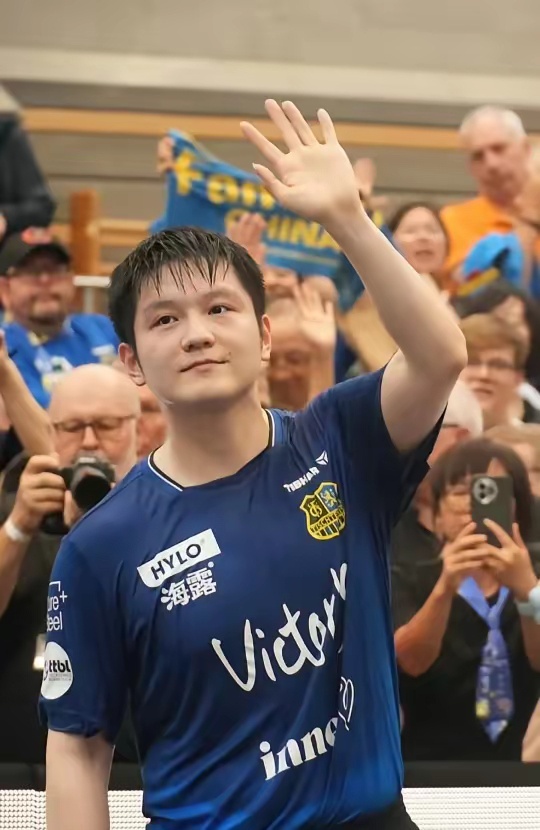 的高水平对 的高水平对